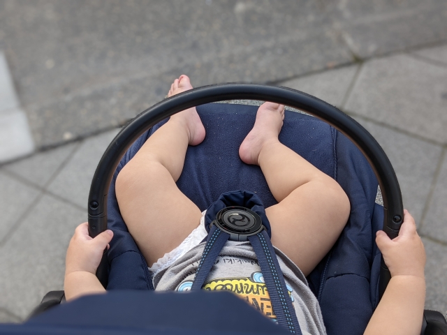 ベビーカーに乗った子供